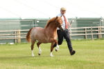 SBM_00433