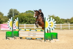 SBM_006710