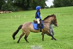 Lucy's Group portfolio