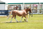 SBM_13634
