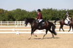 SBM_005648