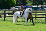 SBM_05743