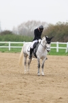 SBM_007796