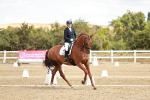 SBM_009419