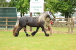 SBM_00453