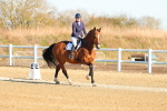 SBM_003446