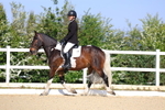 3E7A0335