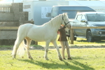 SBM_57378