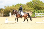 SBM_000741