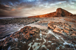 Nash _MG_9584