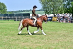SBM_15296