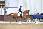 SBM_018793