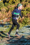 Sale Fell-64