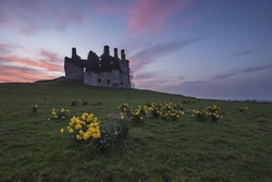 #65  Carbury Castle IV