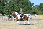 WJ7_3253