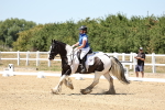 SBM_002531