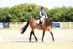 SBM_009611