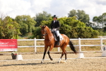 SBM_003646