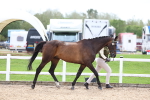 SBM_03906