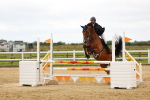 SBM_009409