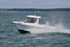 160731 COLENE - QUICKSILVER Y92A8865_Edit