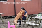 BPP_3170
