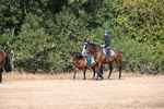WJ6_7855