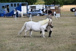 WJ6_6905