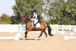 SBM_01786