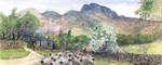 Langdale Farm