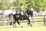 SBM_13713