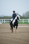 SBM_003386