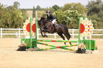 SBM_002155