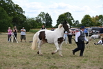WJ6_5574