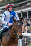 161125-Race 2-Kdeux Saint Fray-1377