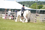 SBM_17096