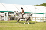 SBM_20100
