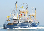 060617 EMILIA M EMIEL BM-10 IMG_9584