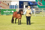 SBM_00481