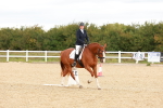 SBM_002281