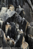 SBA012: Seabird cliffs