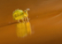 Sminthurinus aureus