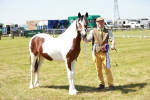 SBM_05535