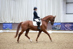 SBM_000994