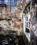 Derelict