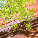 SLOT CANYON ENTRANCE - GRAND STAIRCASE-ESCALANTE