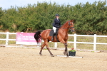 SBM_011804