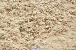 230721A-132553-06531
