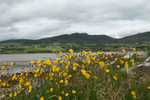 At Isle of Doagh