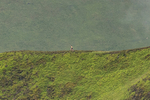 Buttermere-4